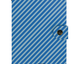 Shockproof